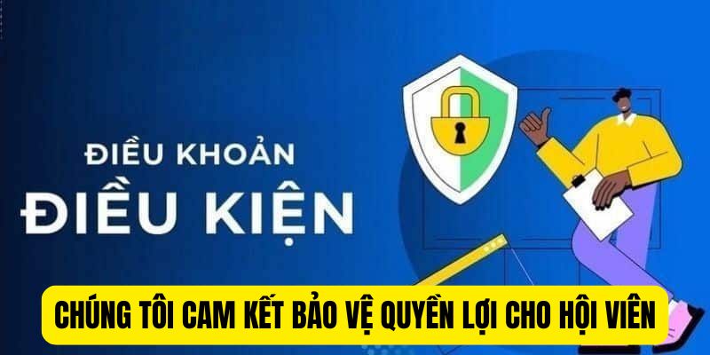 Điều khoản và điều kiện cam kết bảo vệ quyền lợi cho hội viên